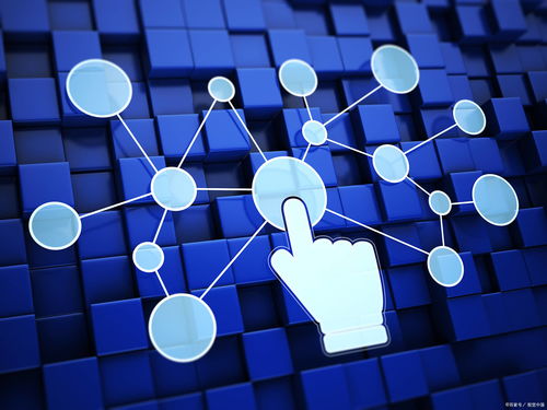 數(shù)字經(jīng)濟(jì)發(fā)展 互聯(lián)網(wǎng)技術(shù)開(kāi)發(fā)的機(jī)遇與挑戰(zhàn)